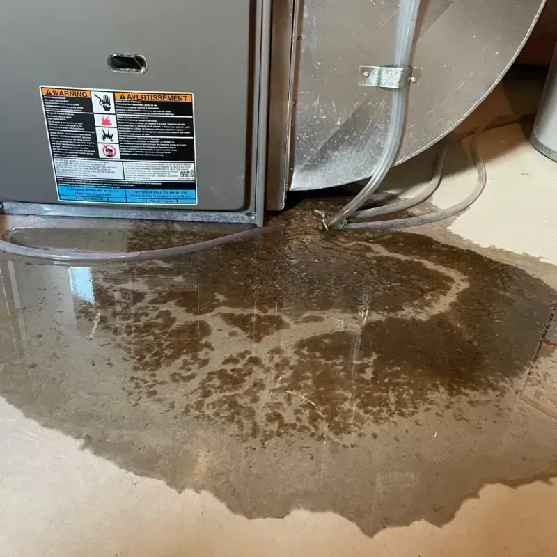 Appliance Leak Cleanup in Saint Anne, IL